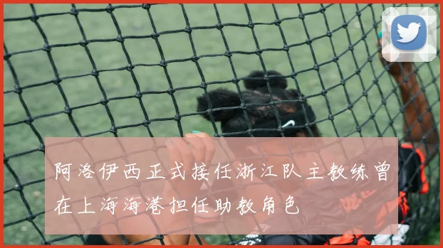 阿洛伊西正式接任浙江队主教练曾在上海海港担任助教角色