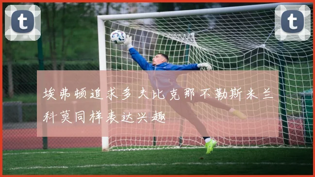 埃弗顿追求多夫比克那不勒斯米兰科莫同样表达兴趣