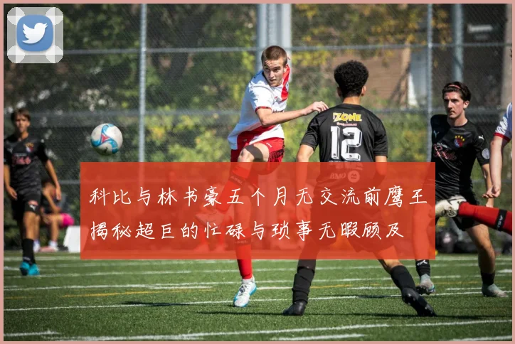 科比与林书豪五个月无交流前鹰王揭秘超巨的忙碌与琐事无暇顾及