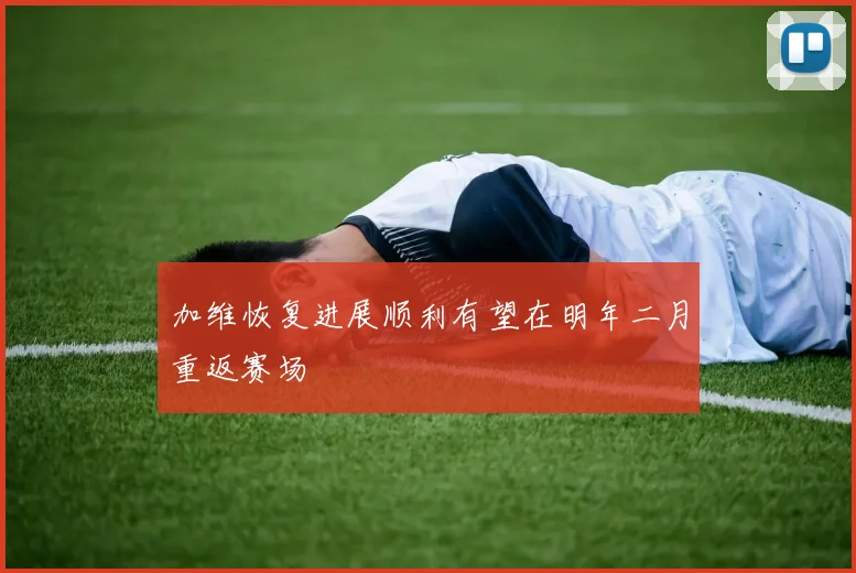 加维恢复进展顺利有望在明年二月重返赛场