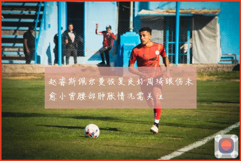 赵睿斯佩尔曼恢复良好周琦眼伤未愈小曾腰部肿胀情况需关注